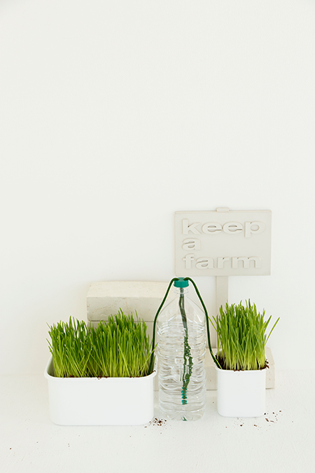 OshioKentaro's Photo